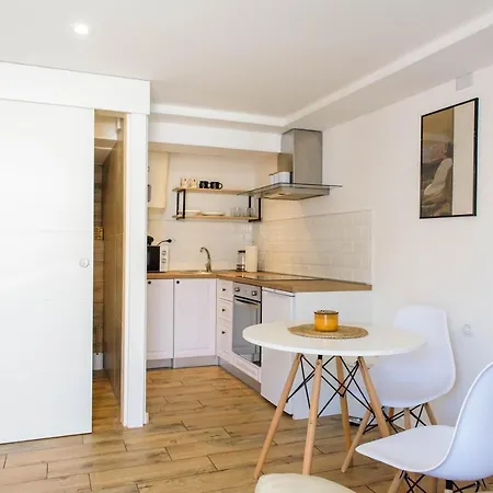 Apartment Roko